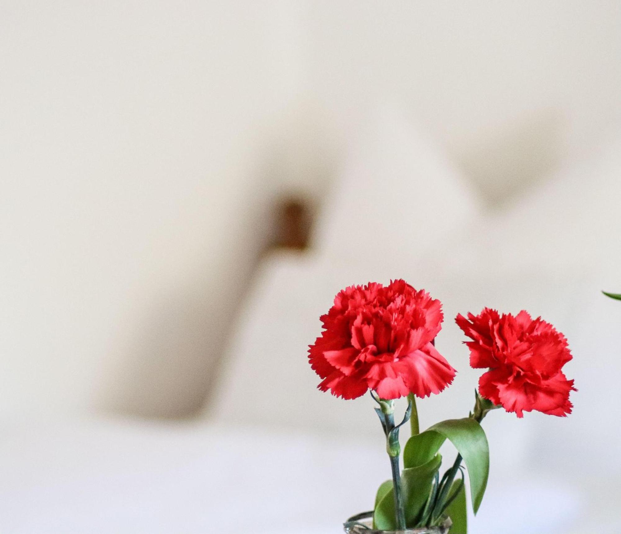 Apartment Vordermitterast เคิร์ชแบร์ก อิน ทิโรล ภายนอก รูปภาพ